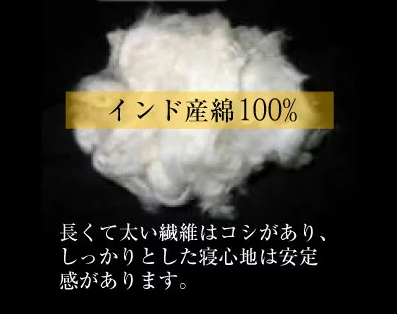 画像の説明 画像の説明